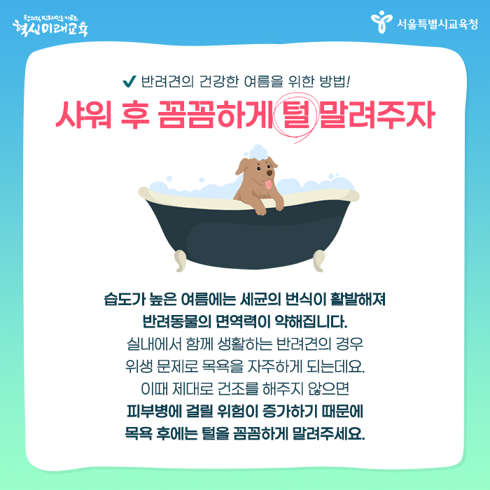20200702_여름철반려동물_03.png