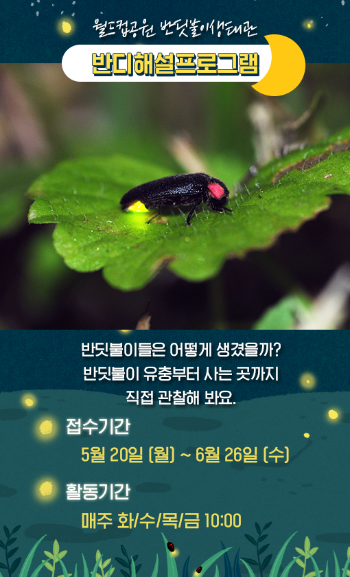 서울반딧불이체험 (4).png