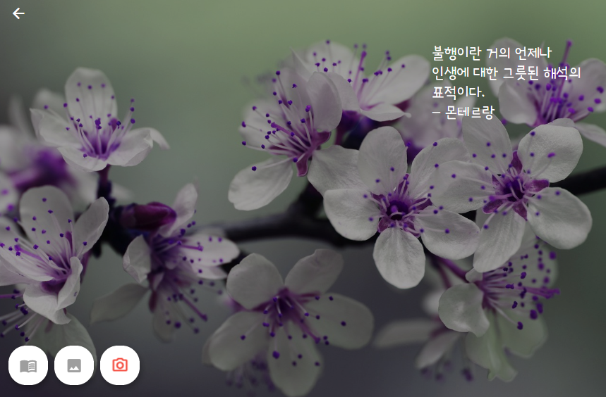 화면 캡처 2023-04-01 082330.png