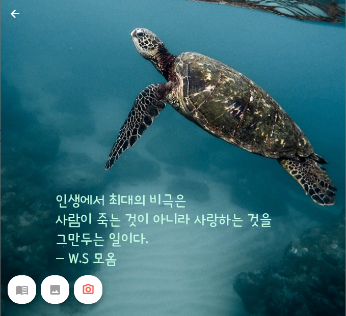 화면 캡처 2023-03-12 093438.png