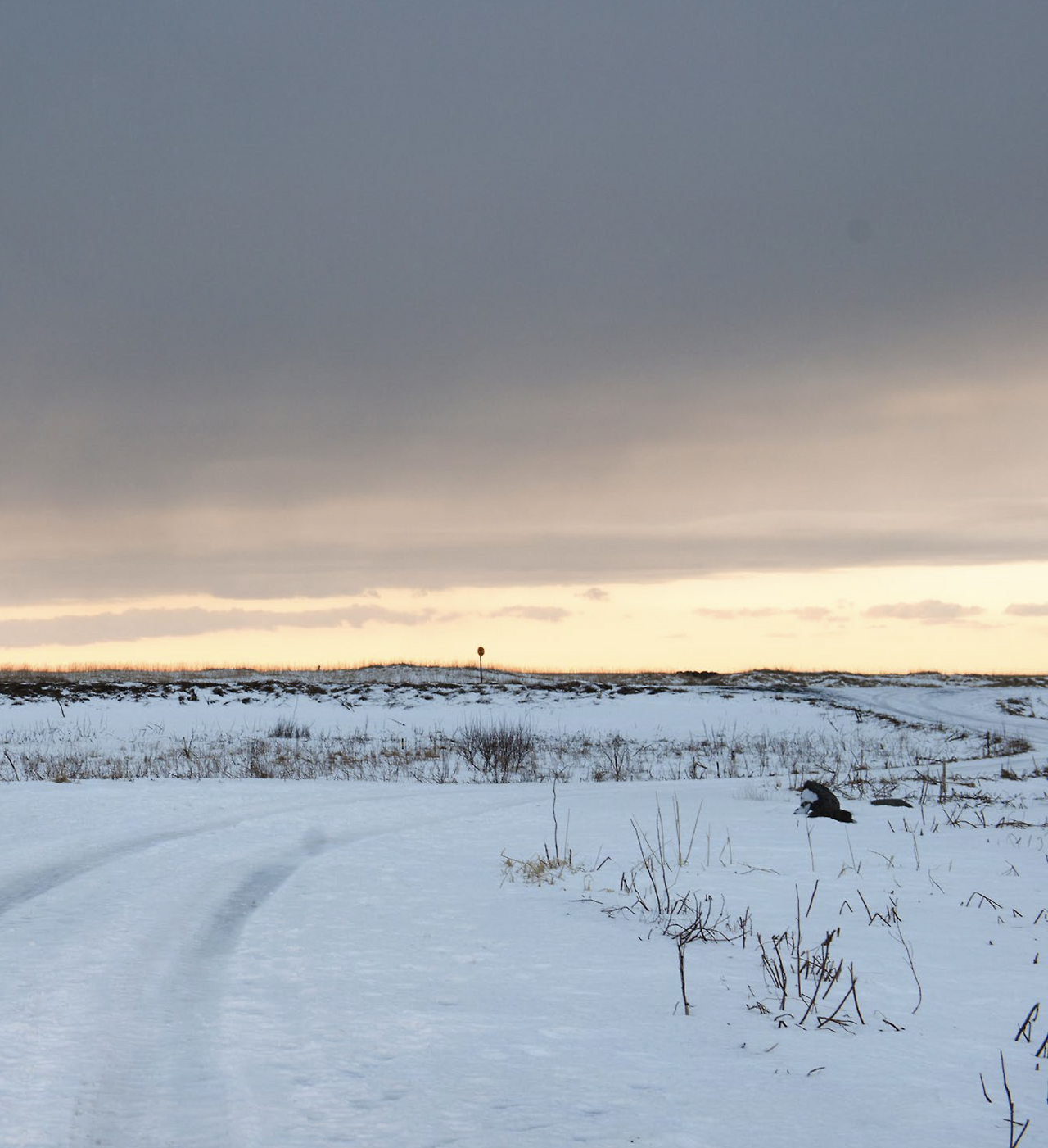스크린샷 2022-03-04 오전 11.16.51.png
