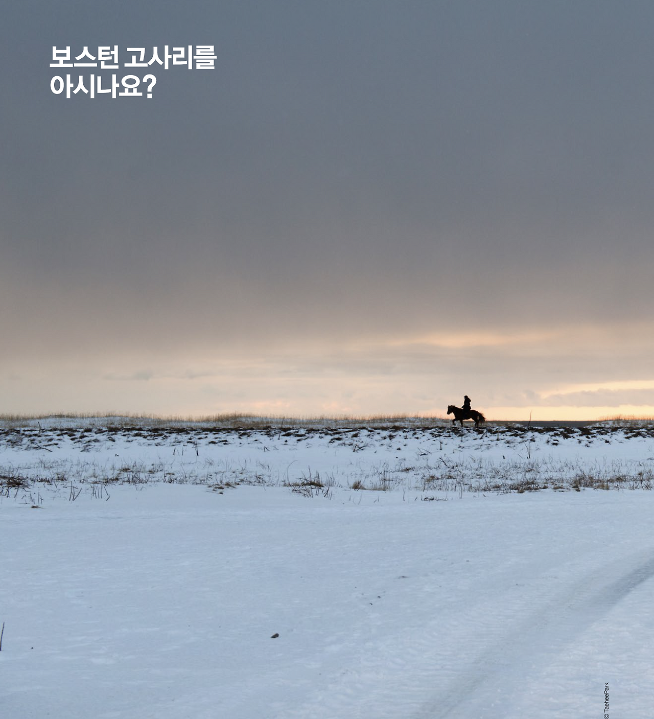 스크린샷 2022-03-04 오전 11.16.39.png