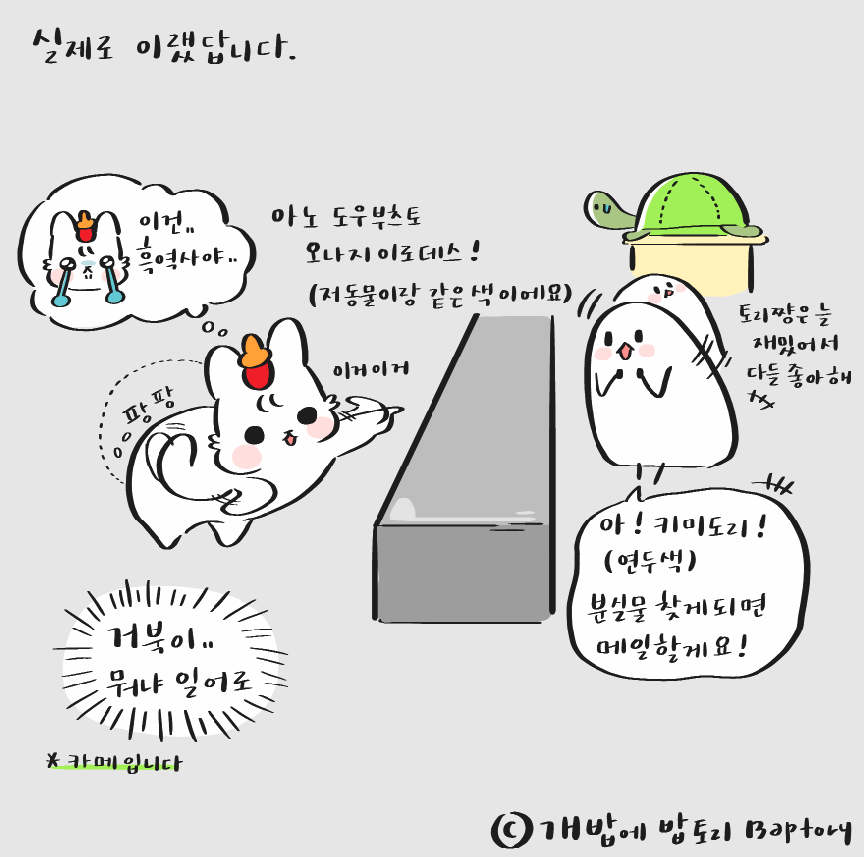 스크린샷 2018-09-14 오전 1.20.02.png