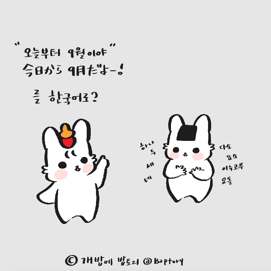 스크린샷 2018-09-01 오전 11.49.31.png