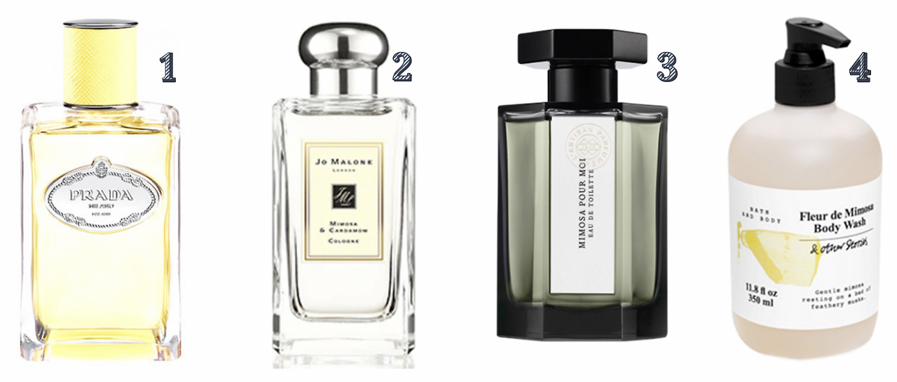 Screen Shot 2020-01-31 at 5.16.14 PM.png