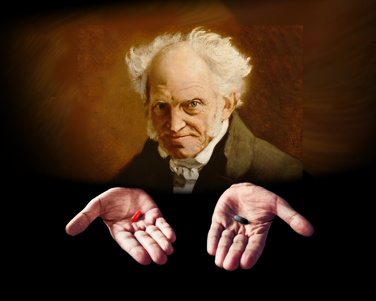 shopenhauer-incel.png