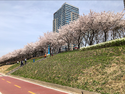 스크린샷 2022-08-28 오후 11.54.17.png