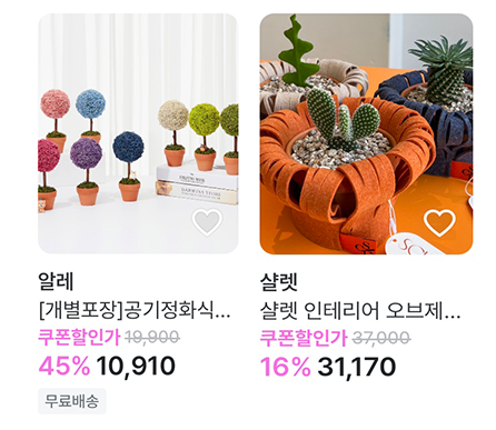 식물 추천템.png