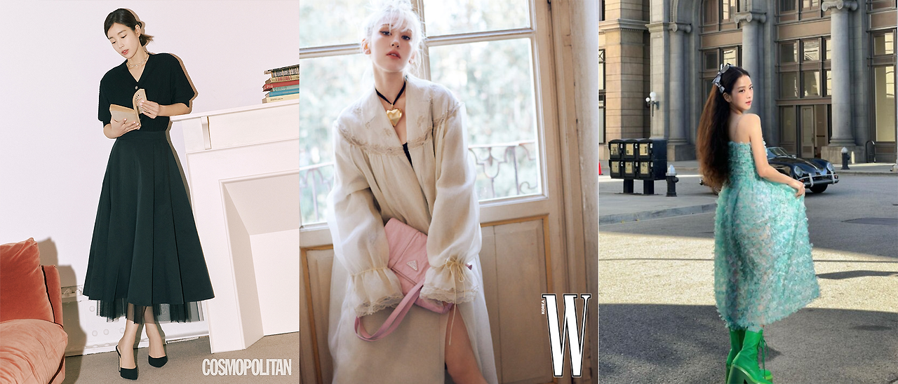 오간자 연예인.png