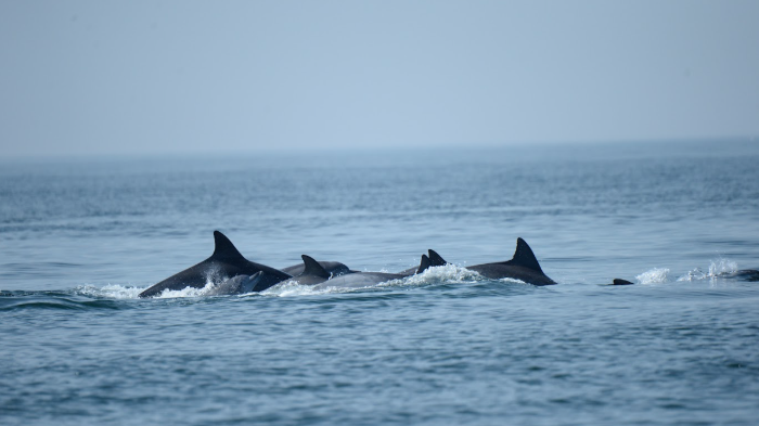 스크린샷 2021-10-14 오전 12.19.34.png