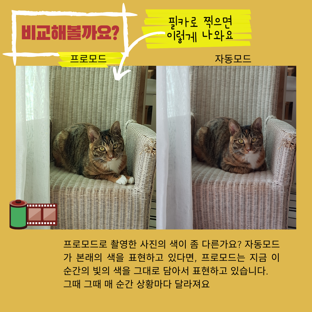 장점1.png