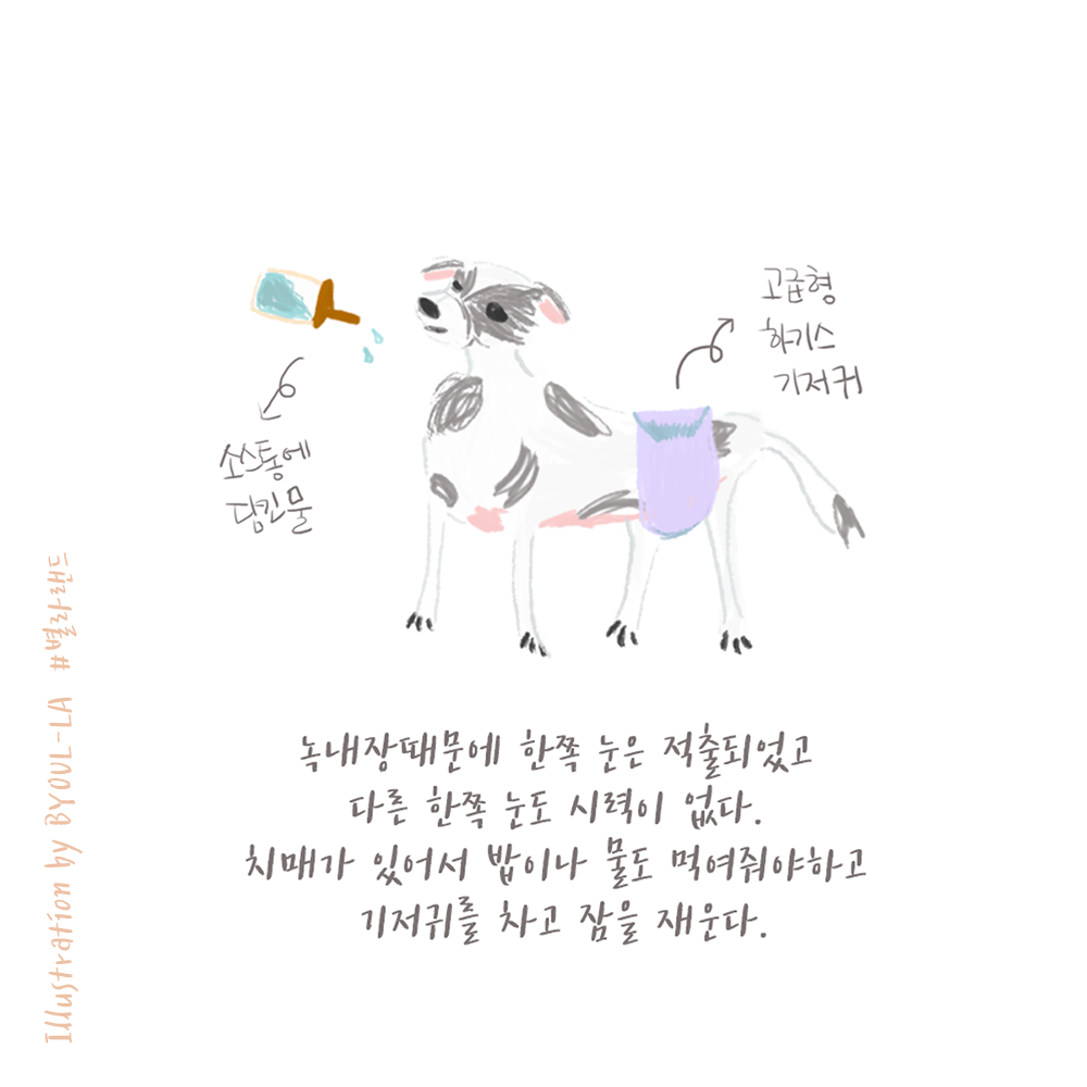 180210 롬이이야기 (2).png
