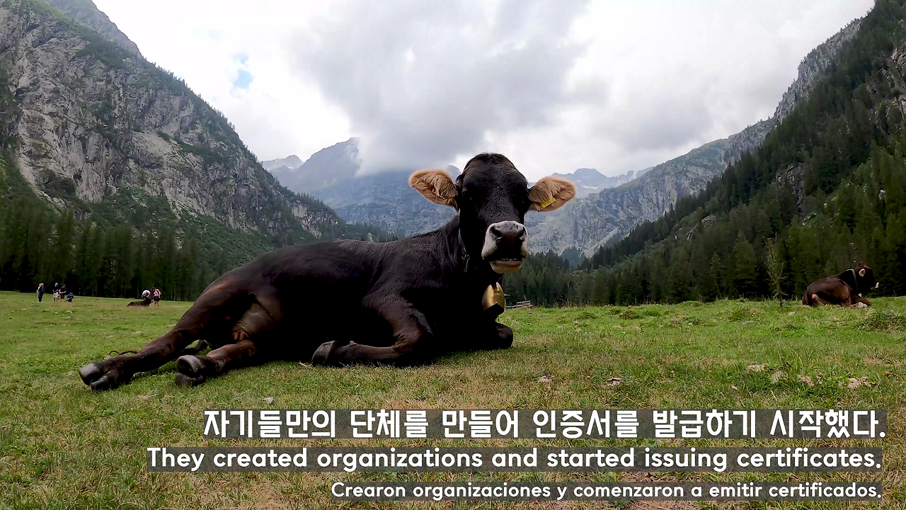 Distance - Anno Domini Beats.mp4_000017933.png