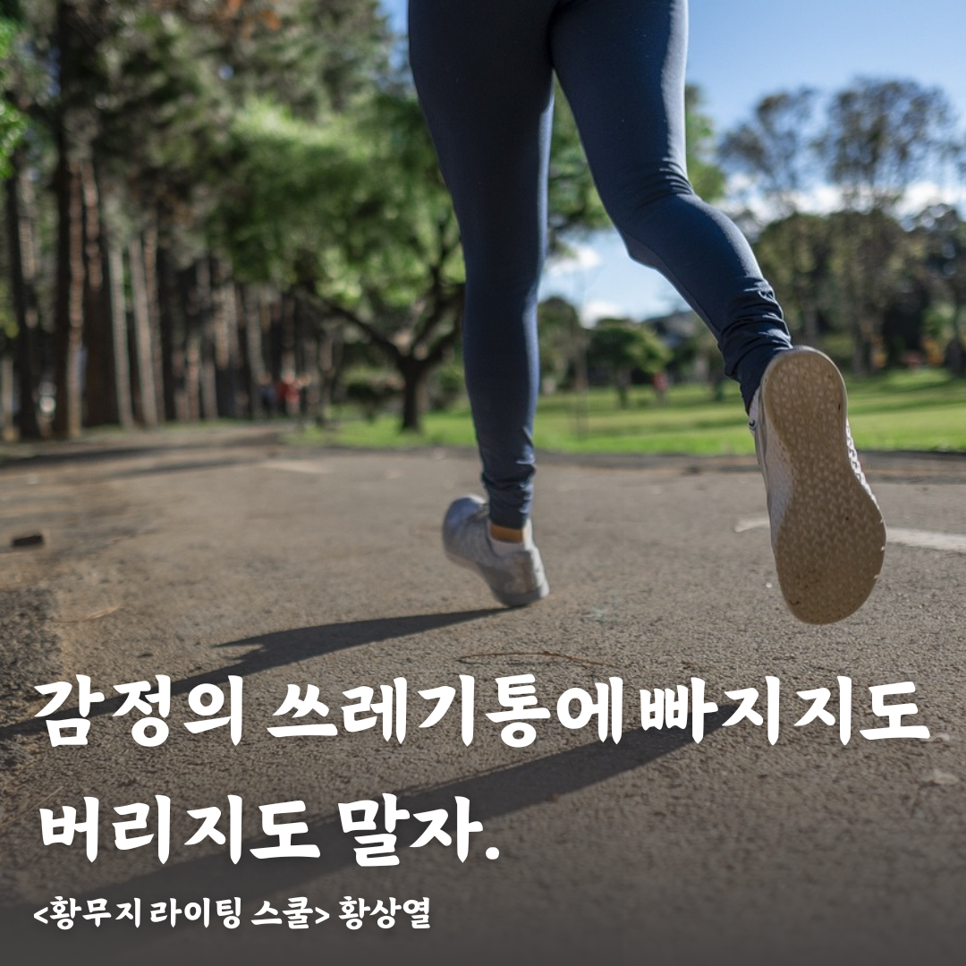 감정의 쓰레기통 .png