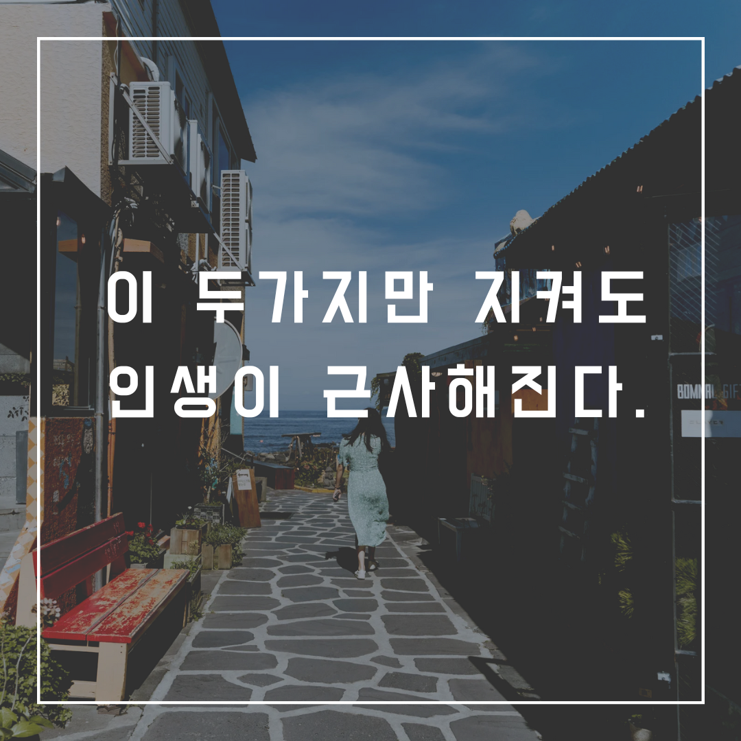 이 두가지 근사한 인생.png