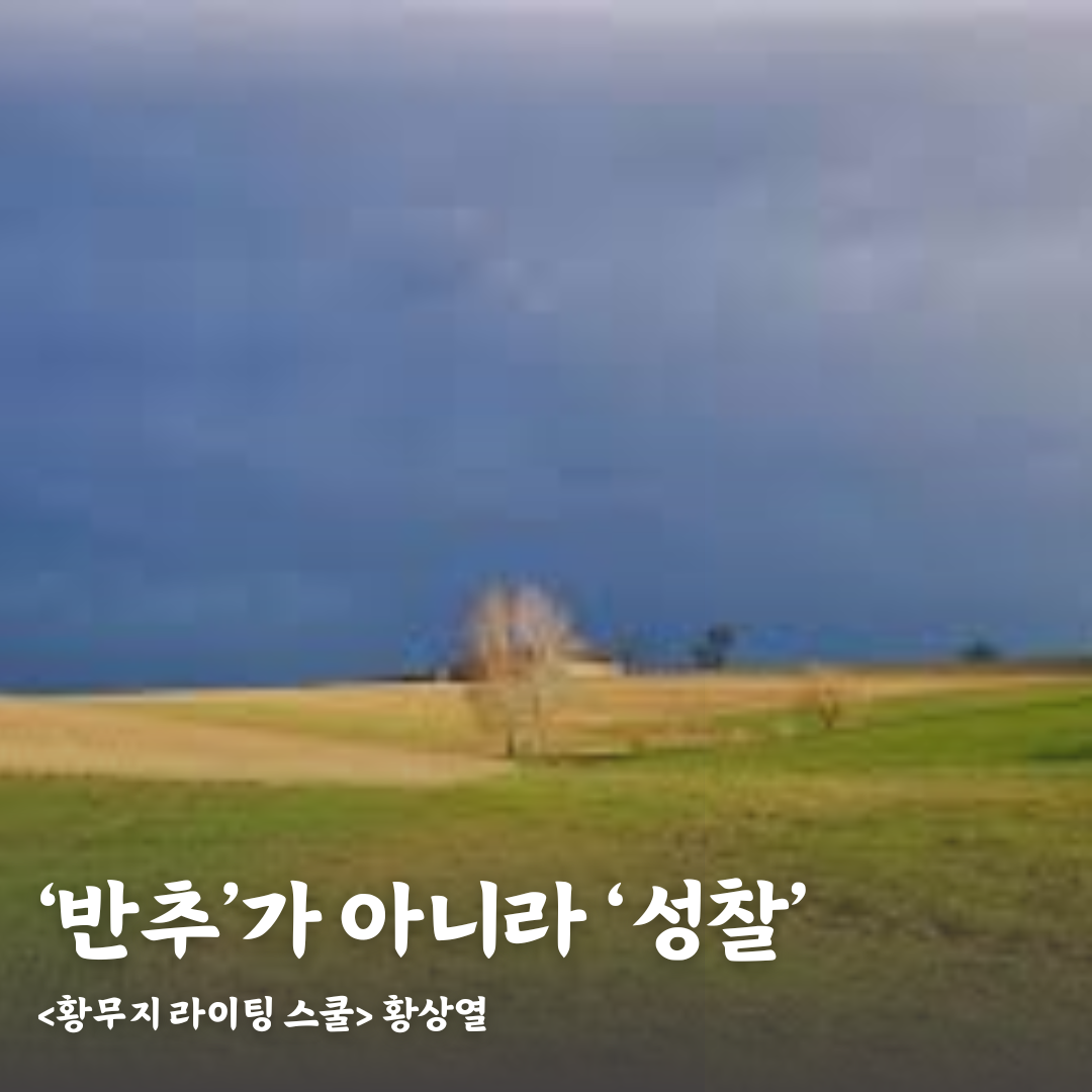 반추가 아니라 성찰.png