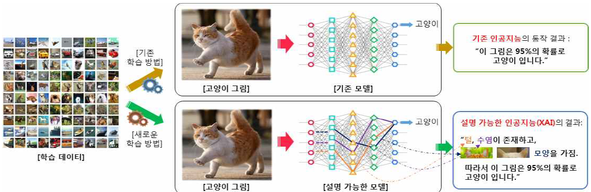 설명가능한 인공지능 예시.png