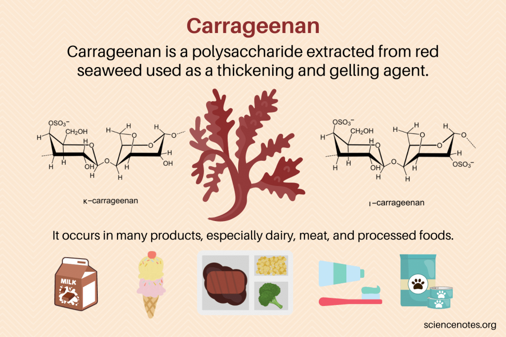 Carrageenan-Facts-1024x683.png