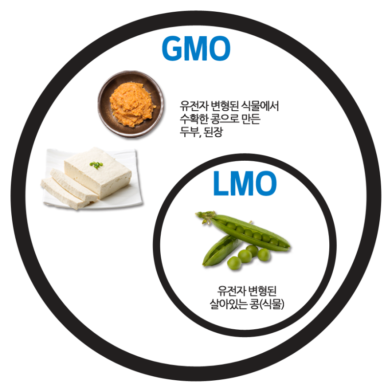 GMO_LMO_copy.png