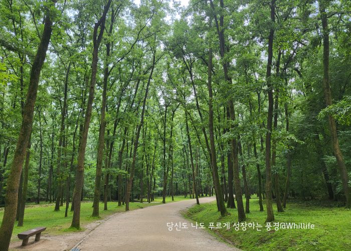 제목을-입력해주세요_-001 (12).png