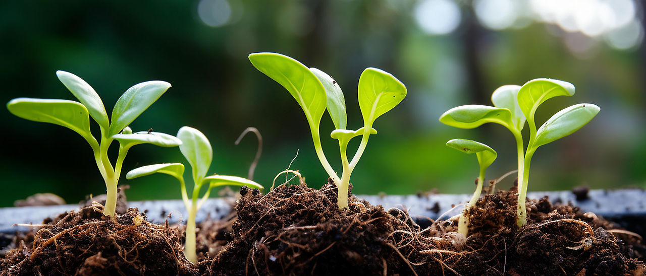 제목을-입력해주세요_-001 - 2024-07-26T103052.580.png