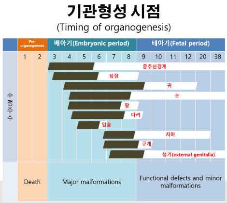 초기유산 임신7주.png