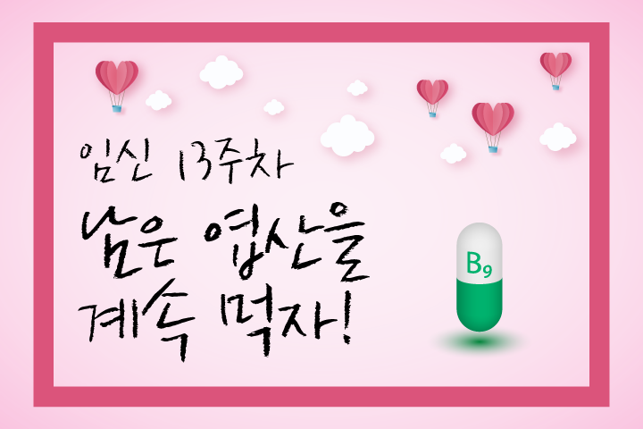 임신 13주차 임신과 엽산 (3).png