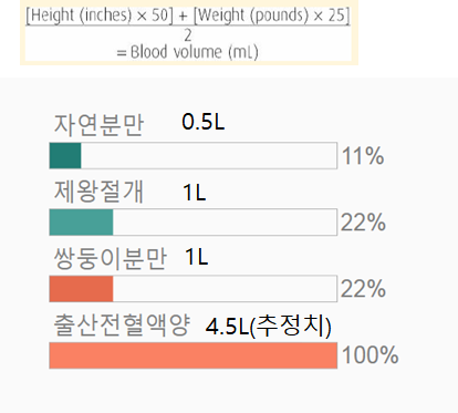 임신10주-출산시 출혈양.png