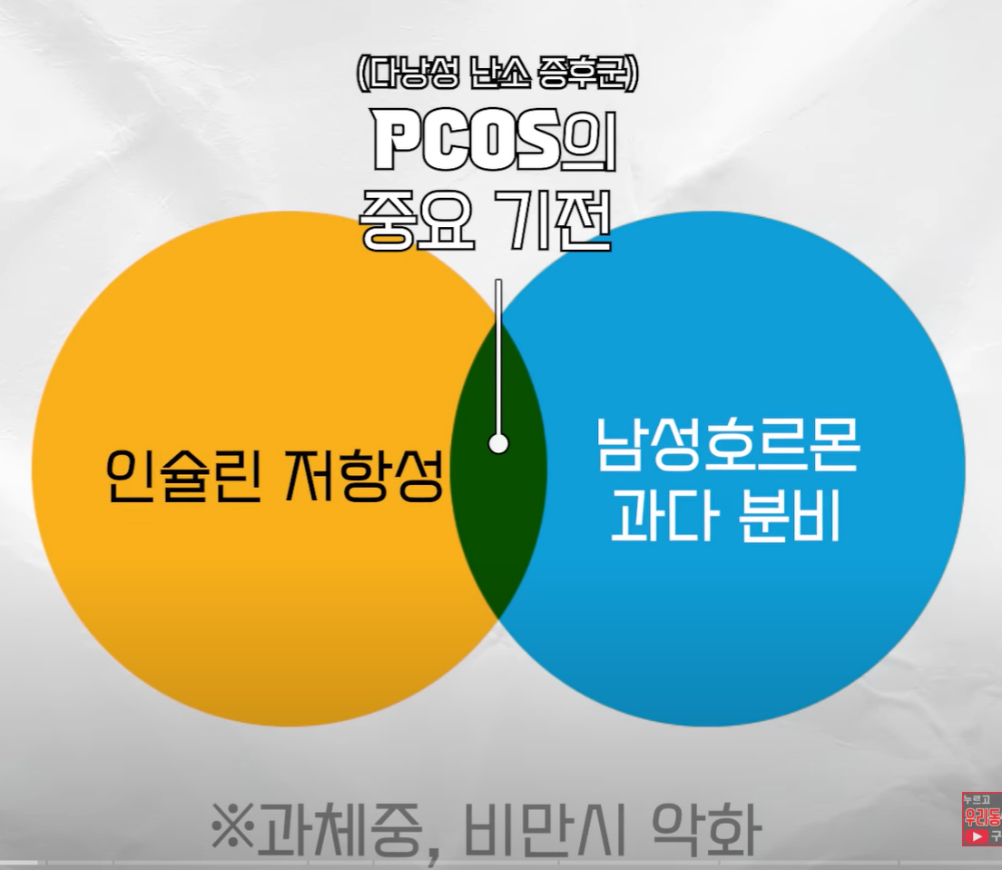 화면 캡처 2023-05-08 153811.png