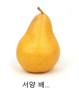 임신10주-자궁 배.png