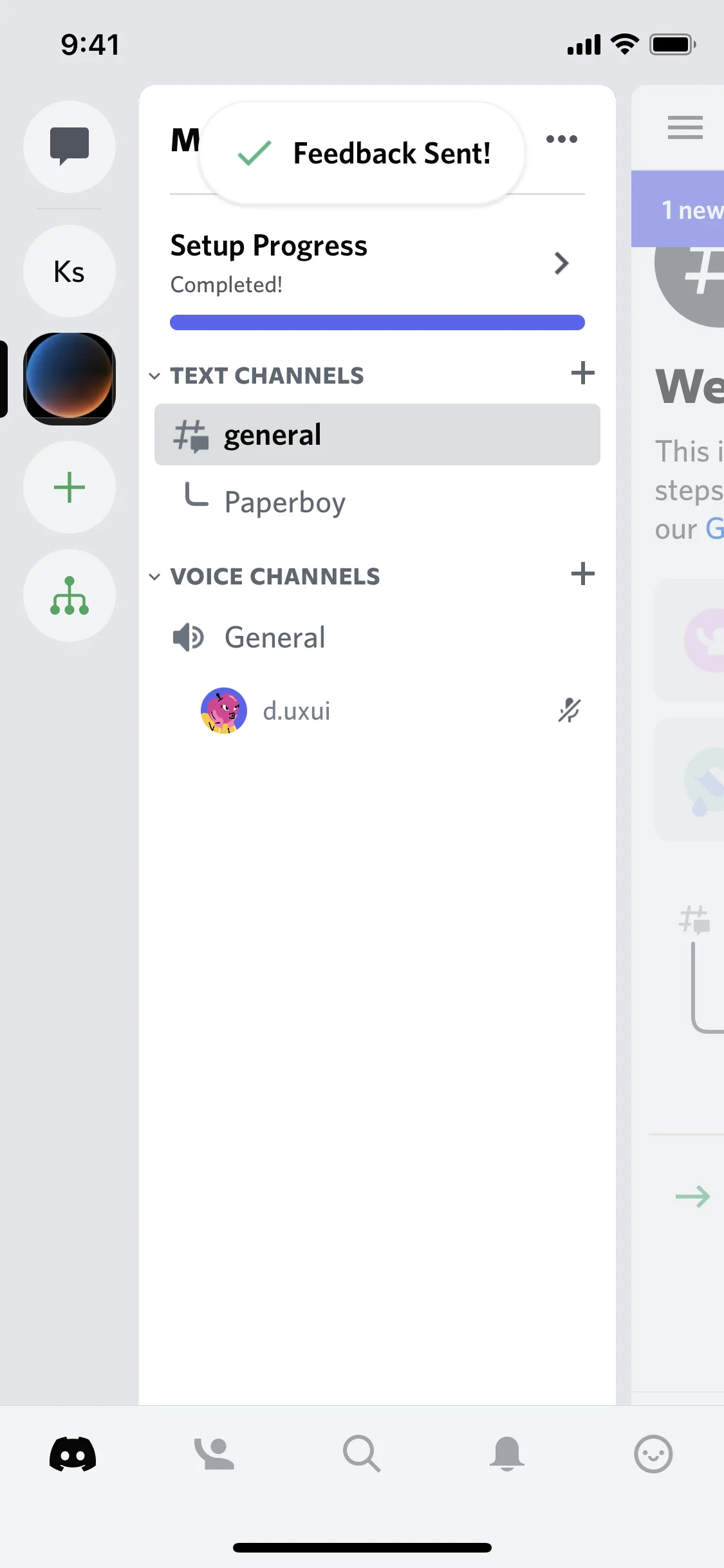 Discord iOS 121.png