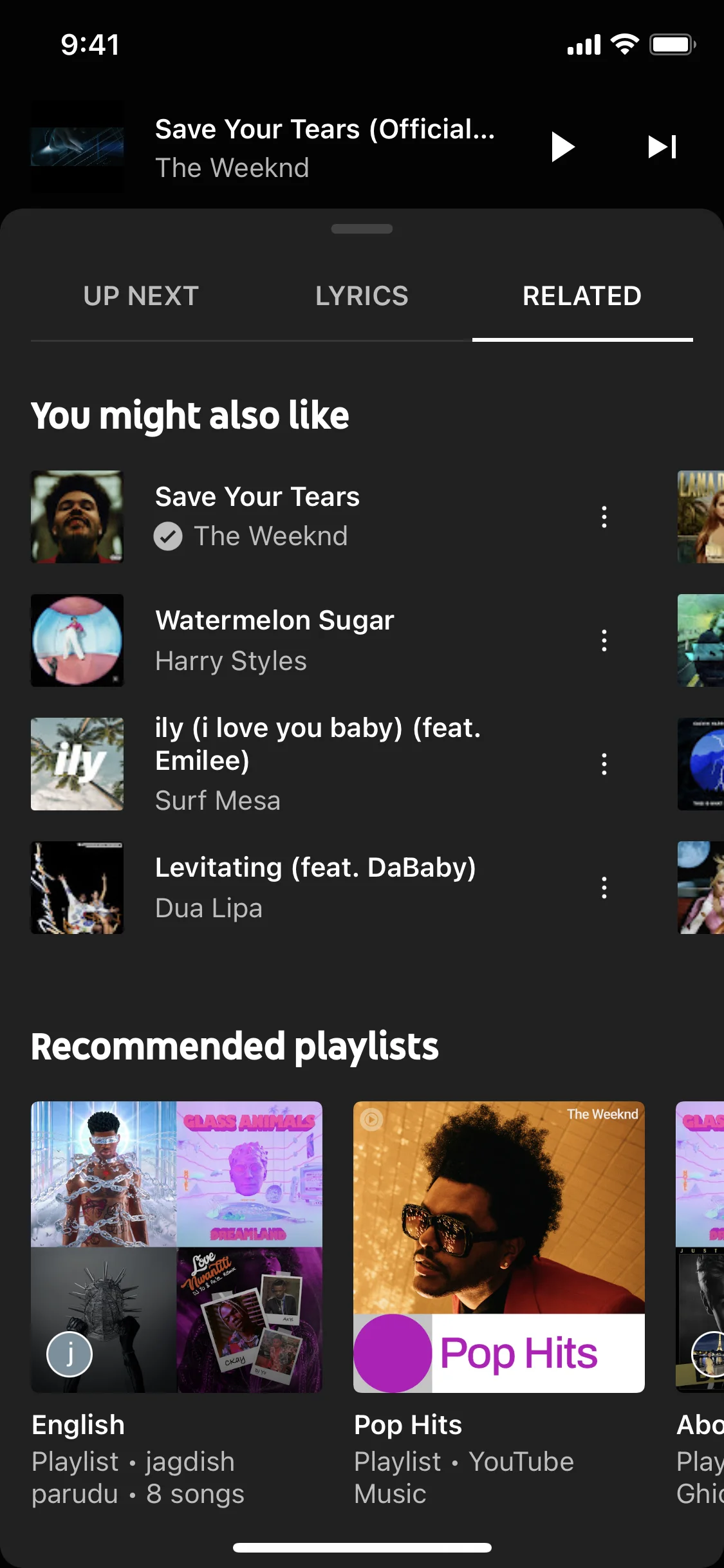 YouTube Music iOS 47.png