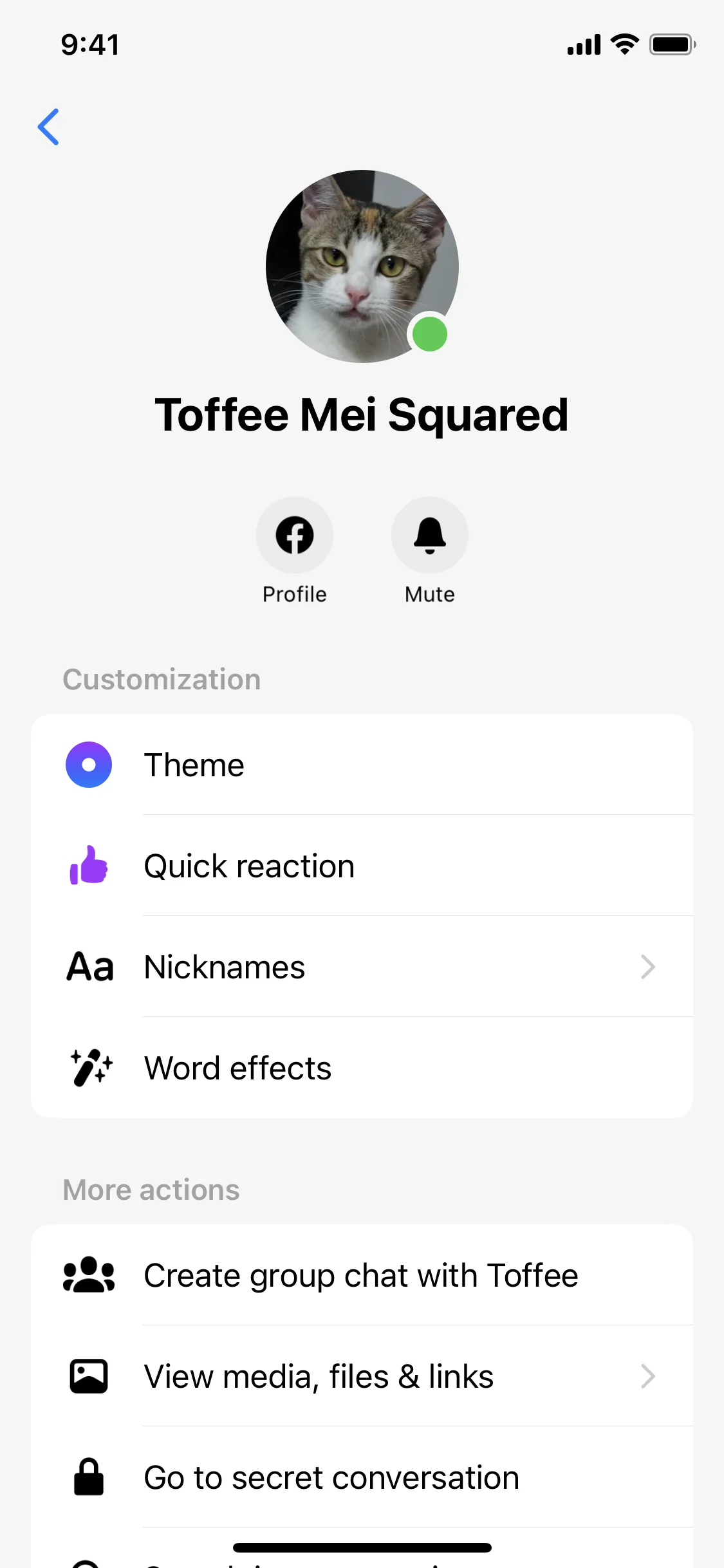 Messenger iOS 145.png