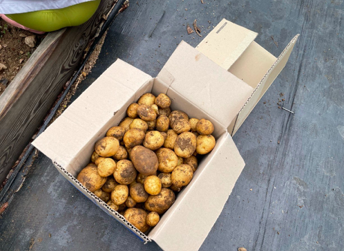 스크린샷 2023-07-01 오후 10.03.02.png