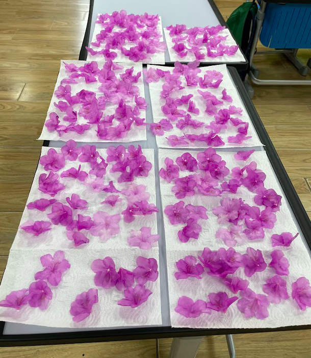 스크린샷 2023-04-03 오후 10.47.03.png