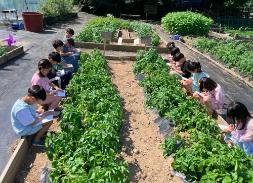 스크린샷 2023-06-12 오후 2.27.13.png