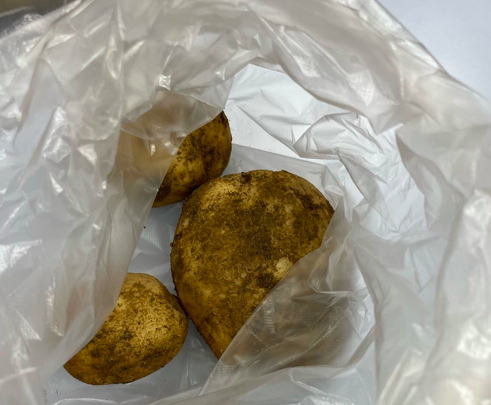 스크린샷 2023-07-01 오후 10.03.33.png