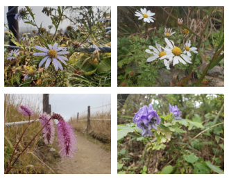 스크린샷 2019-04-16 오전 12.34.16.png