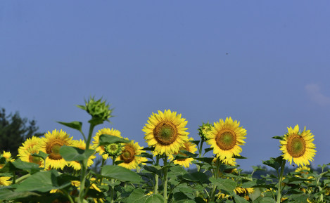 스크린샷 2018-09-09 오후 5.27.11.png