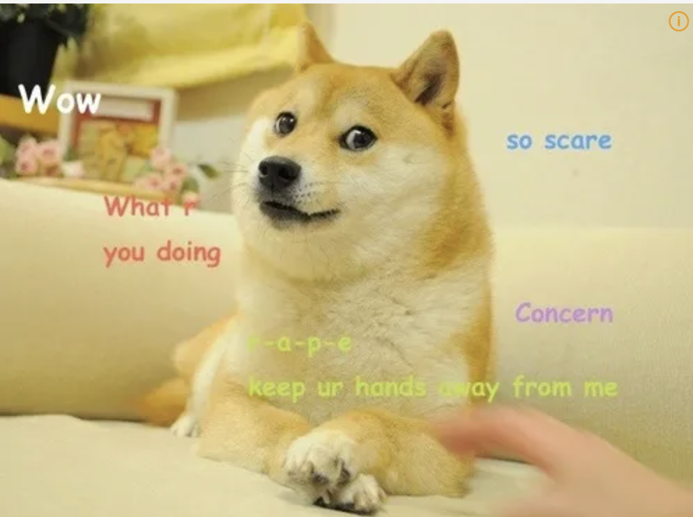 doge.png