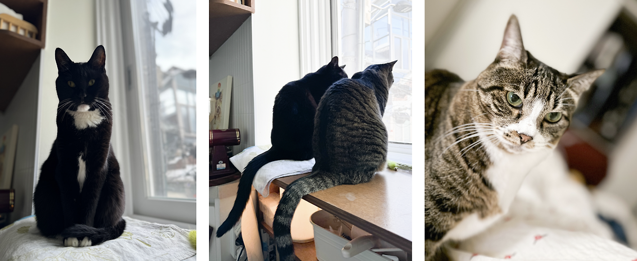 스크린샷 2024-10-07 오전 8.22.19.png