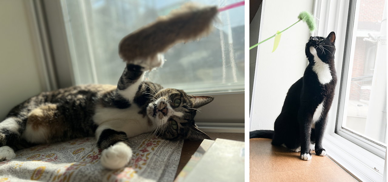 스크린샷 2025-03-07 오후 5.55.14.png