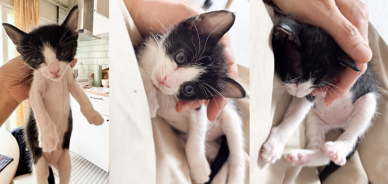 스크린샷 2025-05-16 오후 2.43.37.png