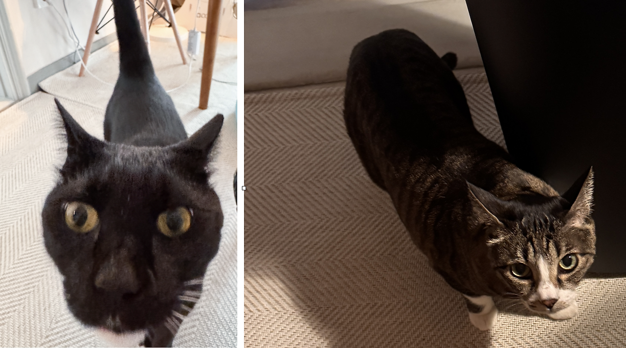 스크린샷 2025-04-14 오전 7.32.50.png