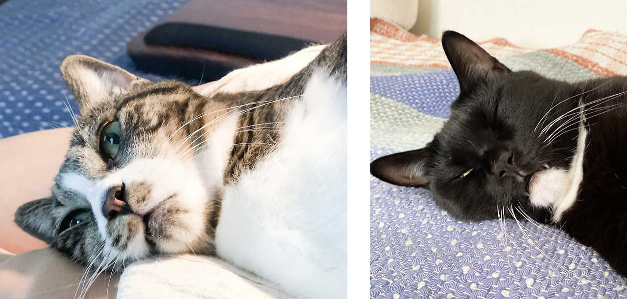 스크린샷 2024-08-19 오전 10.35.18.png