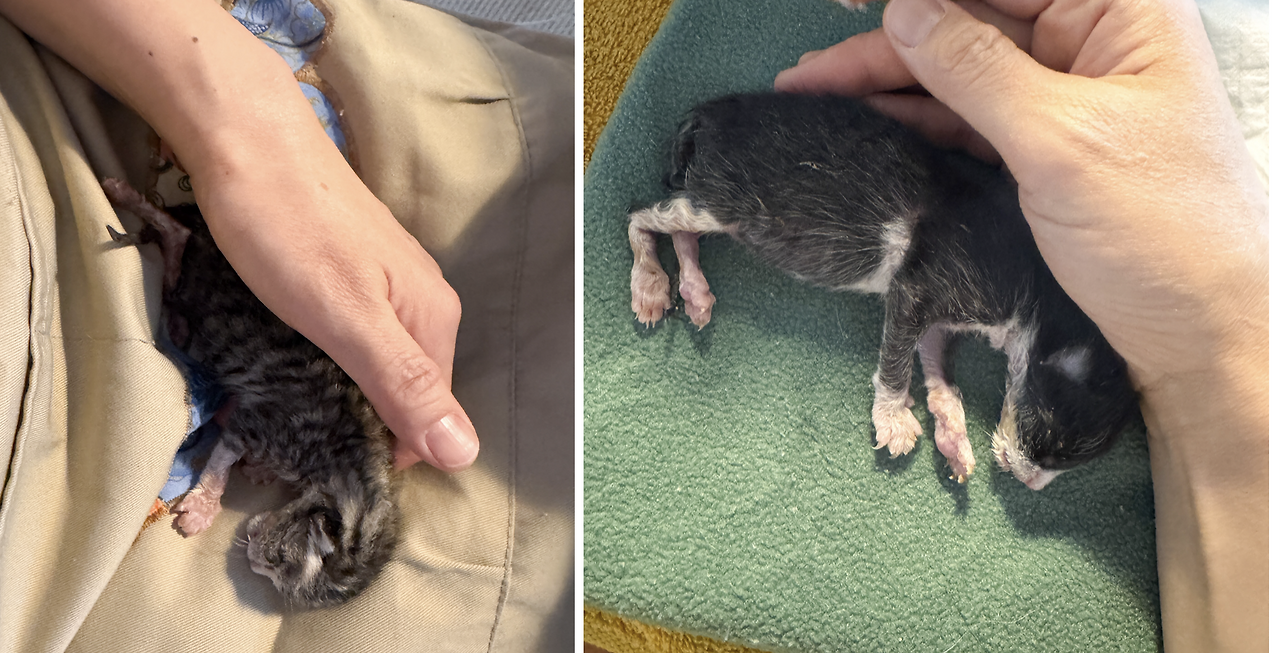 스크린샷 2025-04-14 오전 7.30.56.png