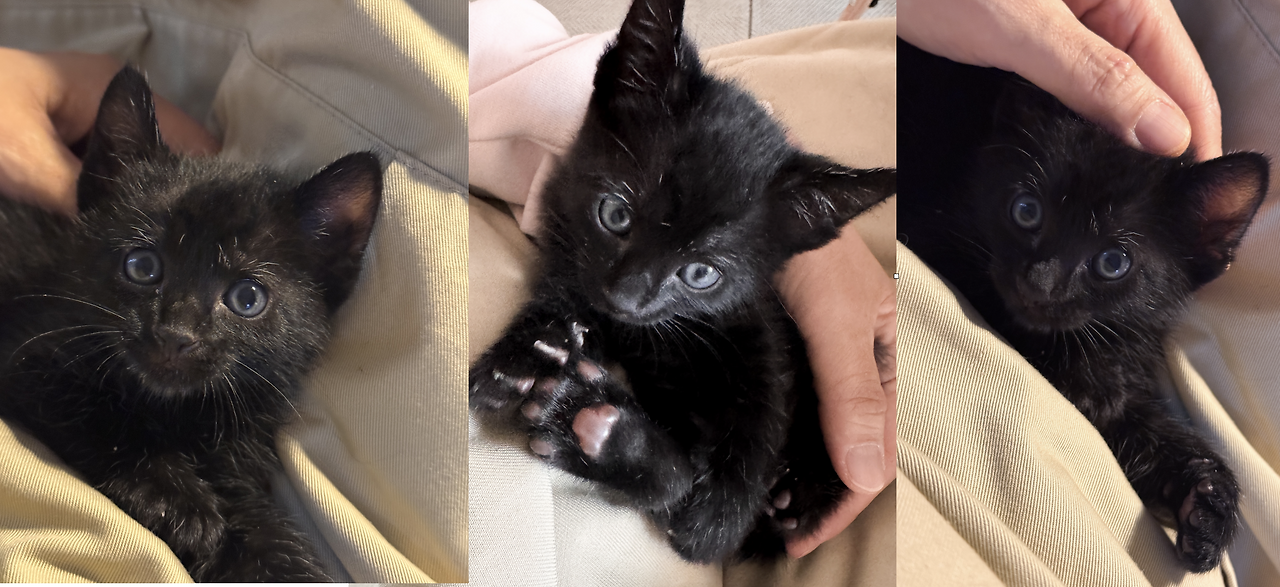 스크린샷 2025-05-16 오후 2.41.57.png