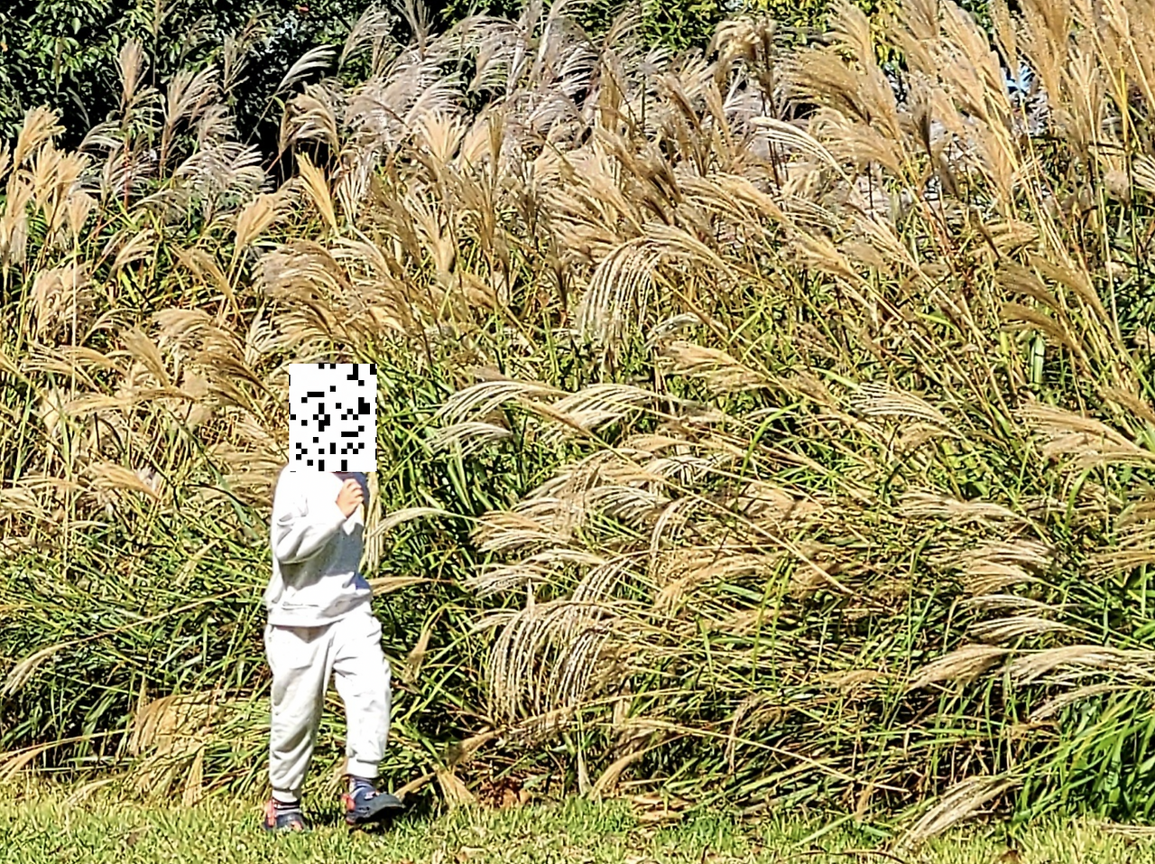 Screen Shot 2023-04-25 at 8.40.45 PM.png