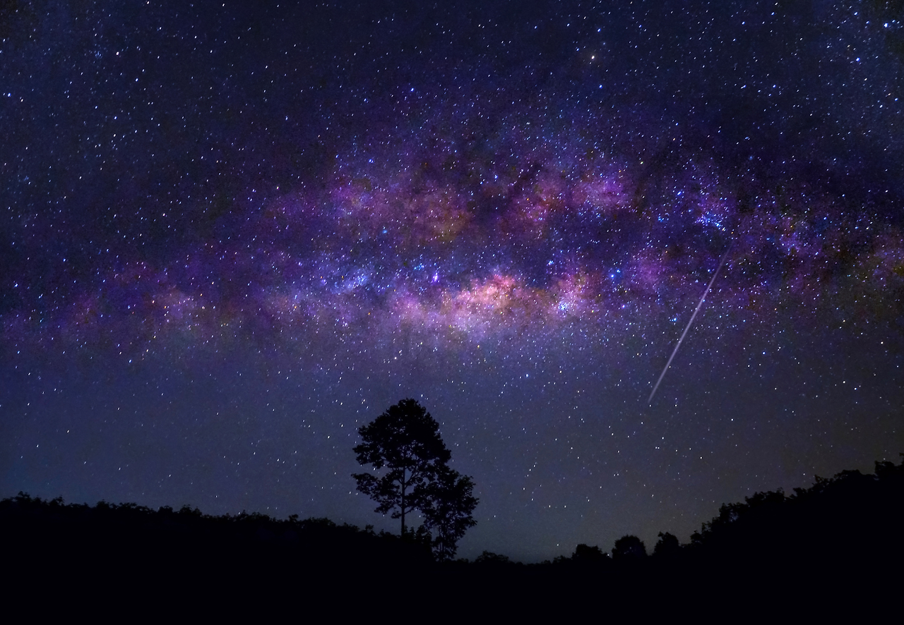 제목 없음 (1150 x 1024 px) (1).png