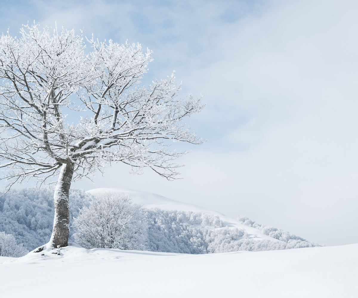 제목 추가 - 2025-05-01T093616.180.png